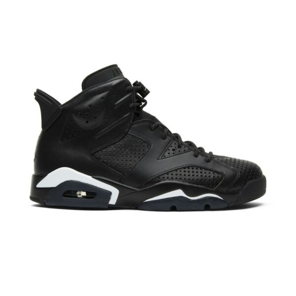 Air Jordan 6 Retro 'Black Cat' 384664-020