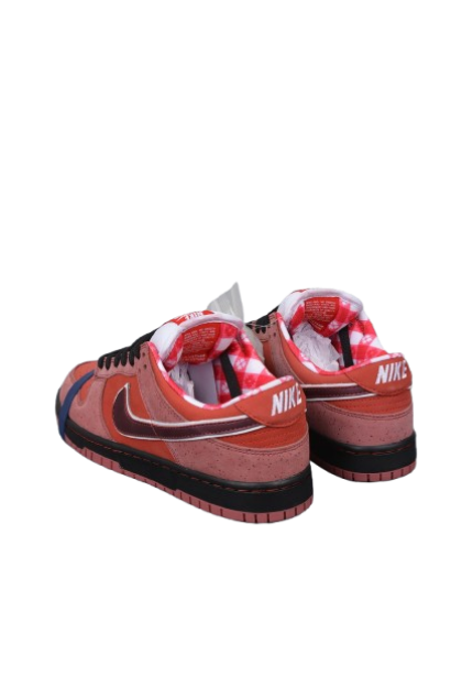 Nike SB Dunk Low Concepts Red Lobster OG0425134