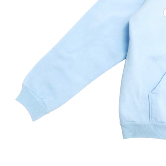 Sp5der Web Hoodie Blue OG051428