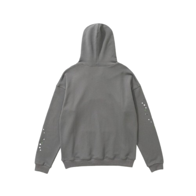 PK Sp5der Hoodie grey OG051433