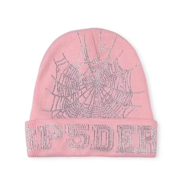 Sp5der Web Beanie Pink OKLU20261033
