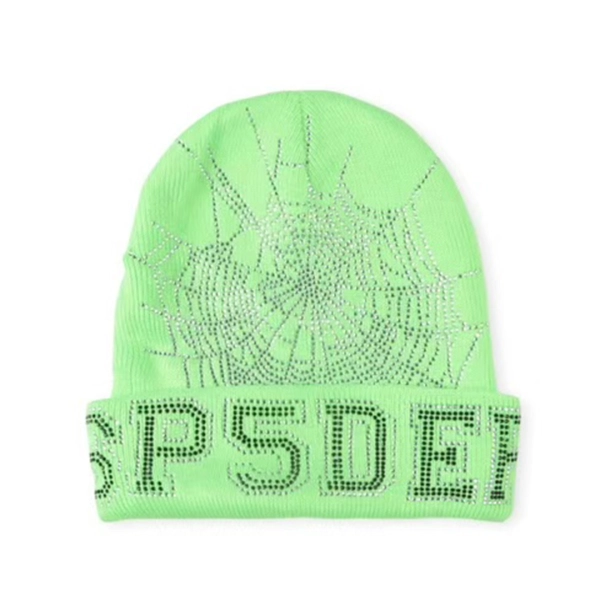Sp5der Web Beanie Green OKLU20261034