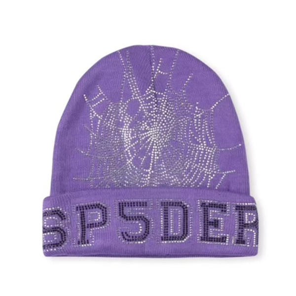 Sp5der Web Beanie Purple OKLU20261035