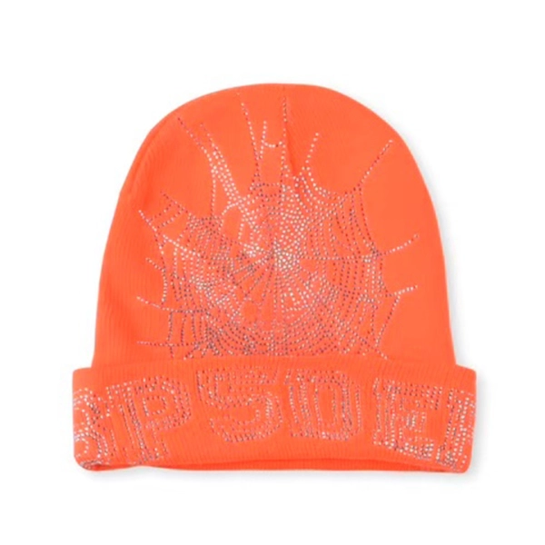 Sp5der Web Beanie Orange OKLU20261038