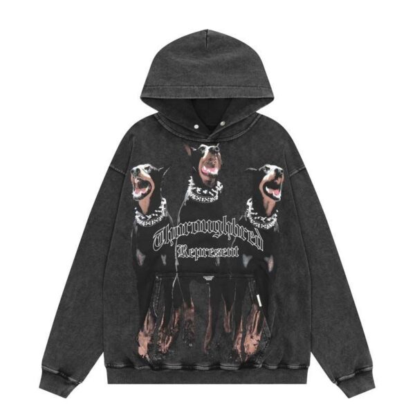 Represent Washed Doberman Hoodie OKZY2026639